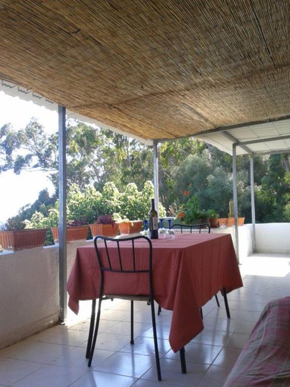 Casa Do Avo Teixeira Villa Сесимбра Екстериор снимка
