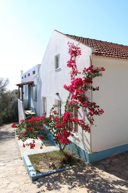 Casa Do Avo Teixeira Villa Сесимбра Екстериор снимка
